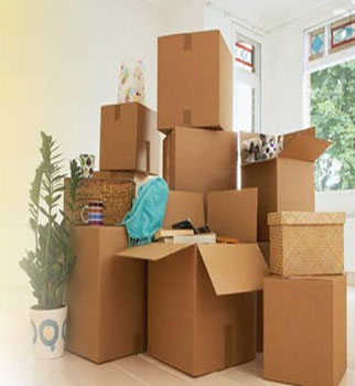 Domestic Relocation